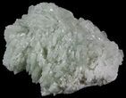 Green Prehnite Crystal Cluster - Morocco #52274-1